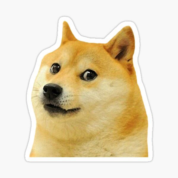 Doge Logo